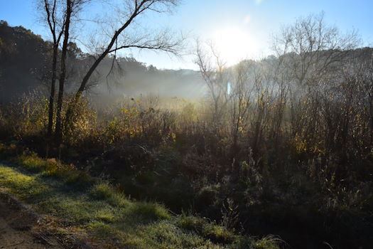 Mist rising from the Circle wetland